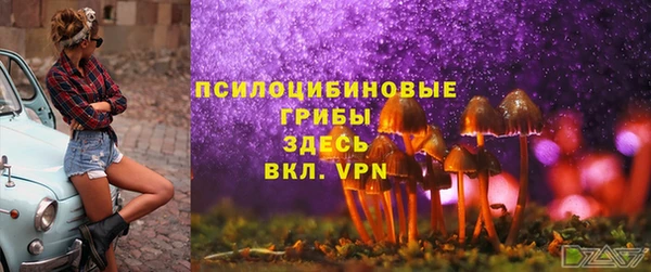мяу мяу мука Баксан
