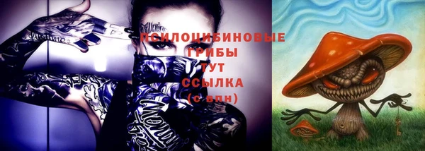 мяу мяу мука Баксан