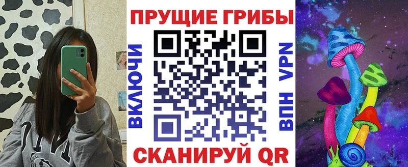 мега ONION Борисоглебск сайты даркнета наркотические препараты хочу Псилоцибиновые грибы мухоморы